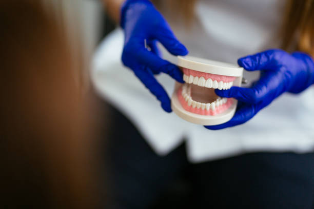 Holmes Beach, FL Dental Services Company