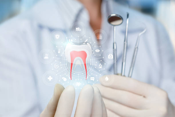 Best Dental X-Rays and Imaging  in Holmes Beach, FL